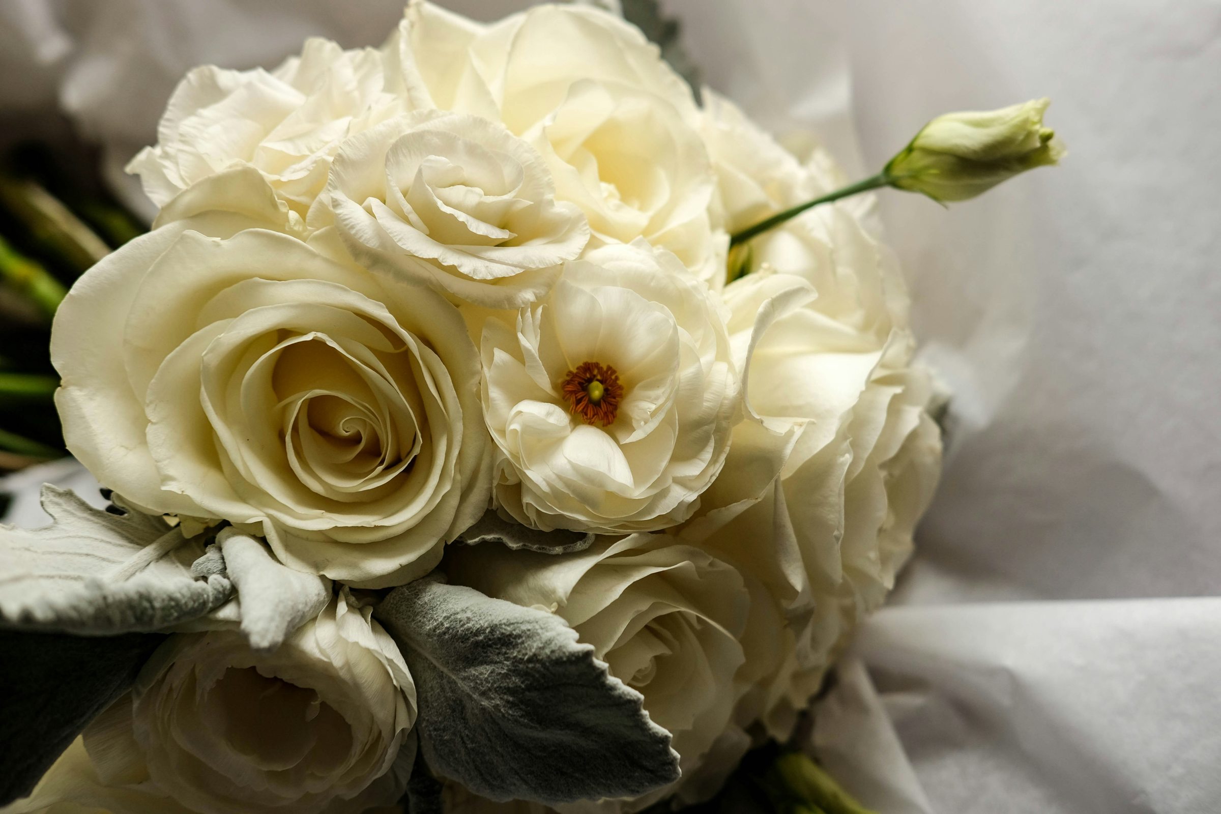 White rose bouquet with soft green foliage